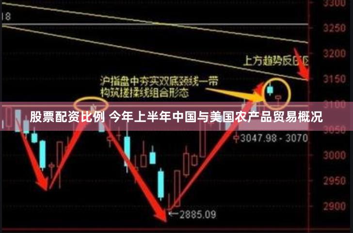 股票配资比例 今年上半年中国与美国农产品贸易概况