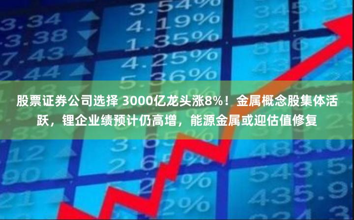 股票证券公司选择 3000亿龙头涨8%！金属概念股集体活跃，锂企业绩预计仍高增，能源金属或迎估值修复