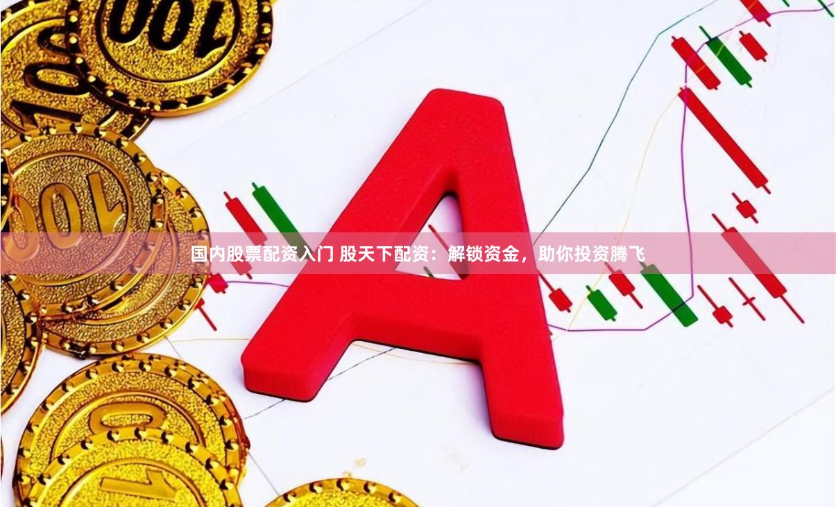 国内股票配资入门 股天下配资：解锁资金，助你投资腾飞