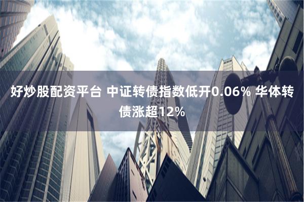 好炒股配资平台 中证转债指数低开0.06% 华体转债涨超12%