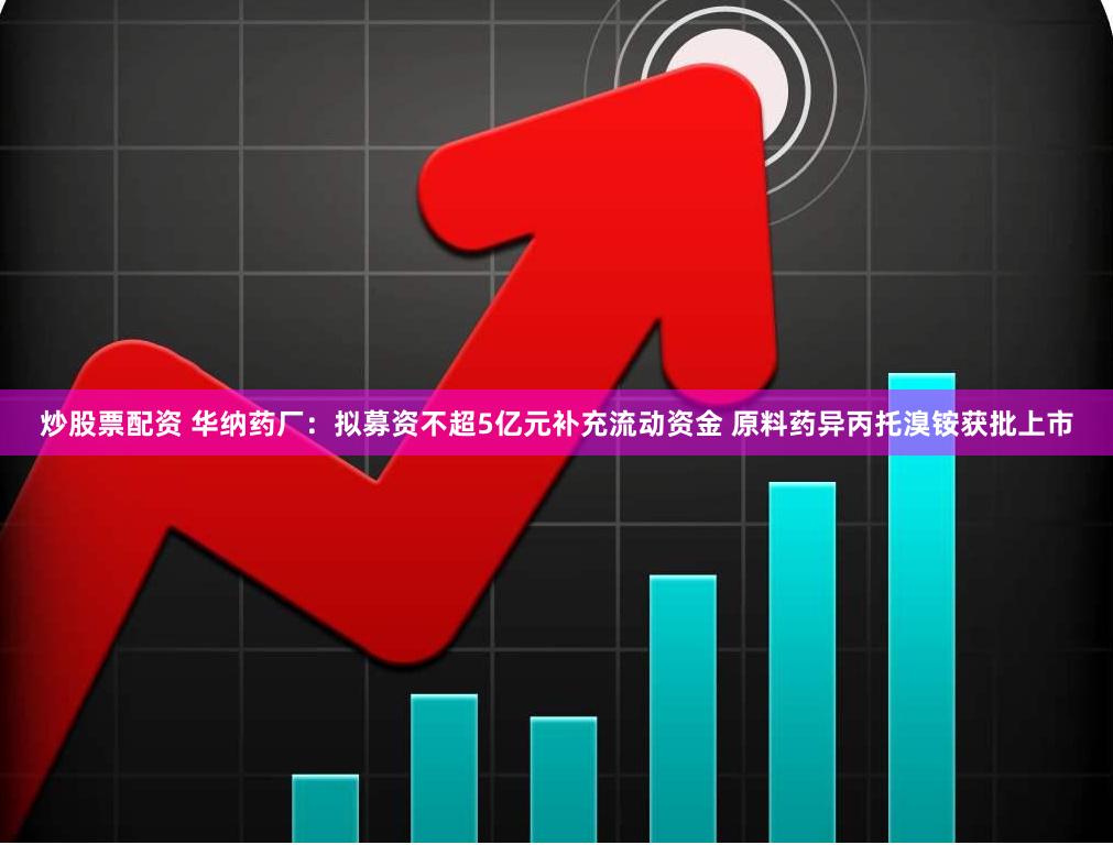 炒股票配资 华纳药厂：拟募资不超5亿元补充流动资金 原料药异丙托溴铵获批上市