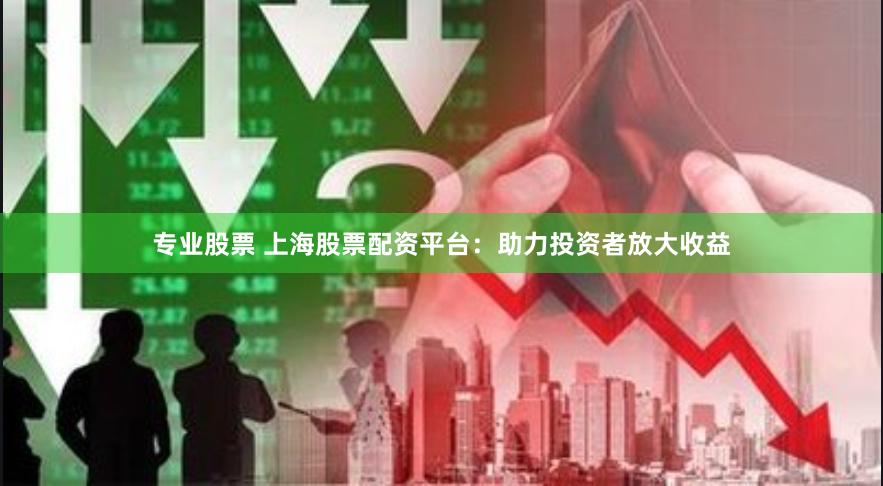 专业股票 上海股票配资平台：助力投资者放大收益