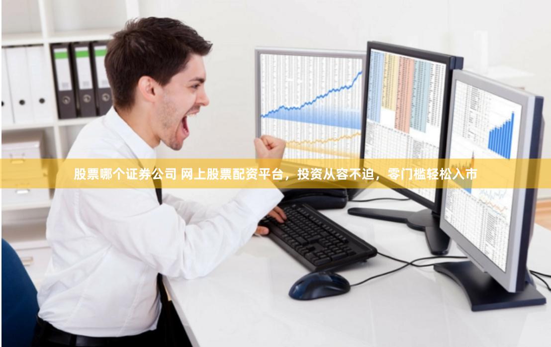 股票哪个证券公司 网上股票配资平台，投资从容不迫，零门槛轻松入市